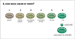 Emerald Gem Color Chart